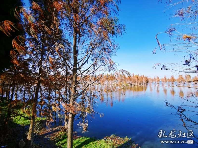 长沙县教育局发布紧急通知！初中暂停课两天，幼儿园、小学自1月21日开始放寒假